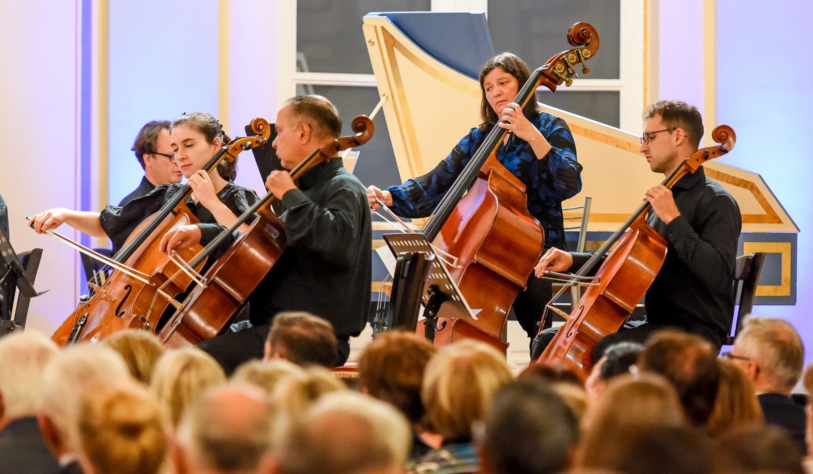 Varaždinski komorni orkestar