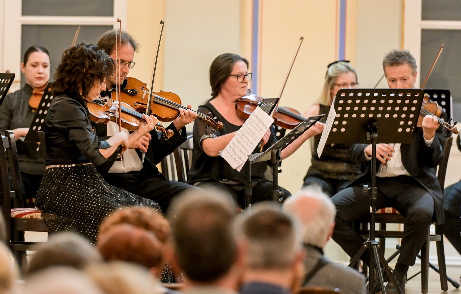 Varaždinski komorni orkestar