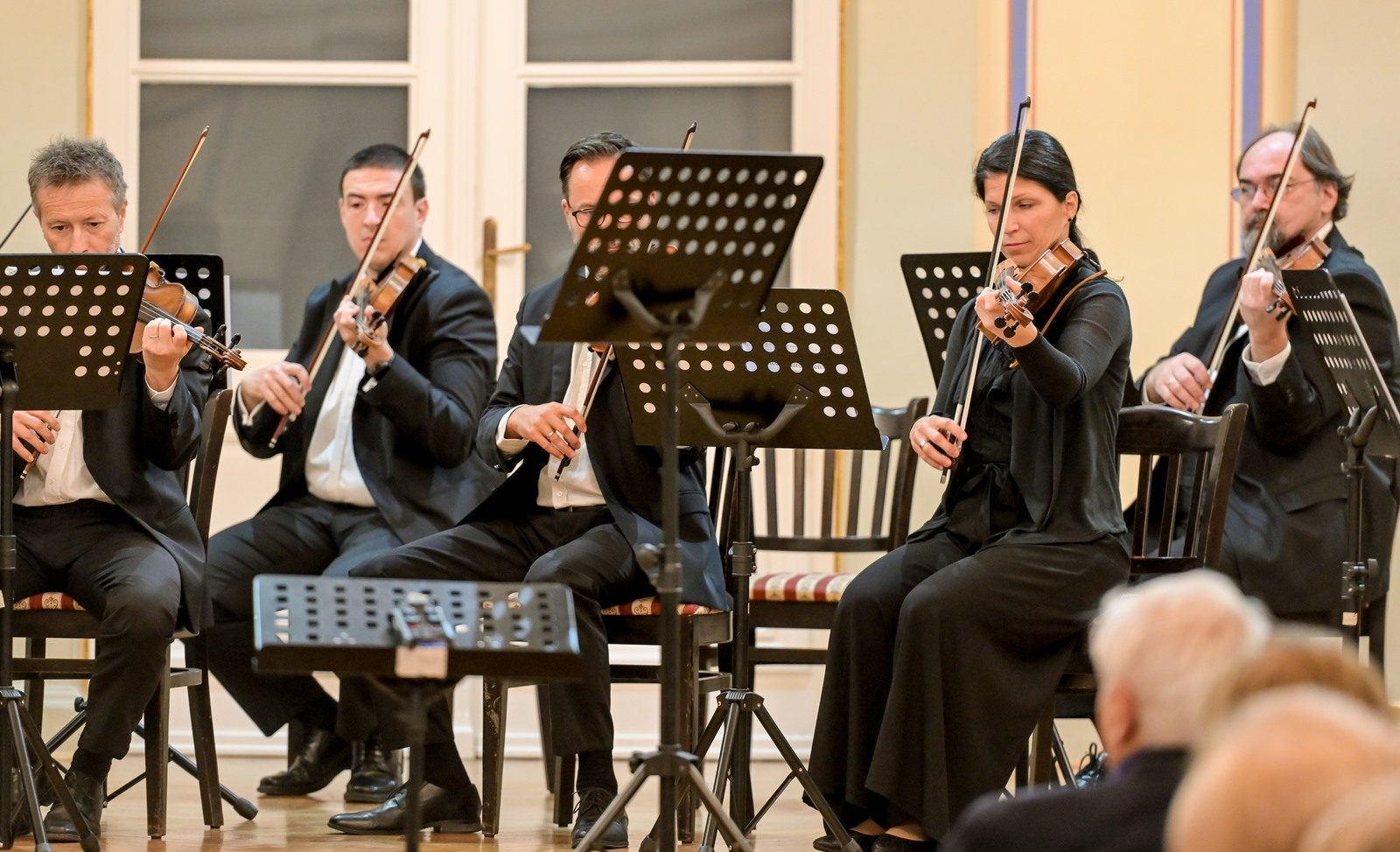 Varaždinski komorni orkestar
