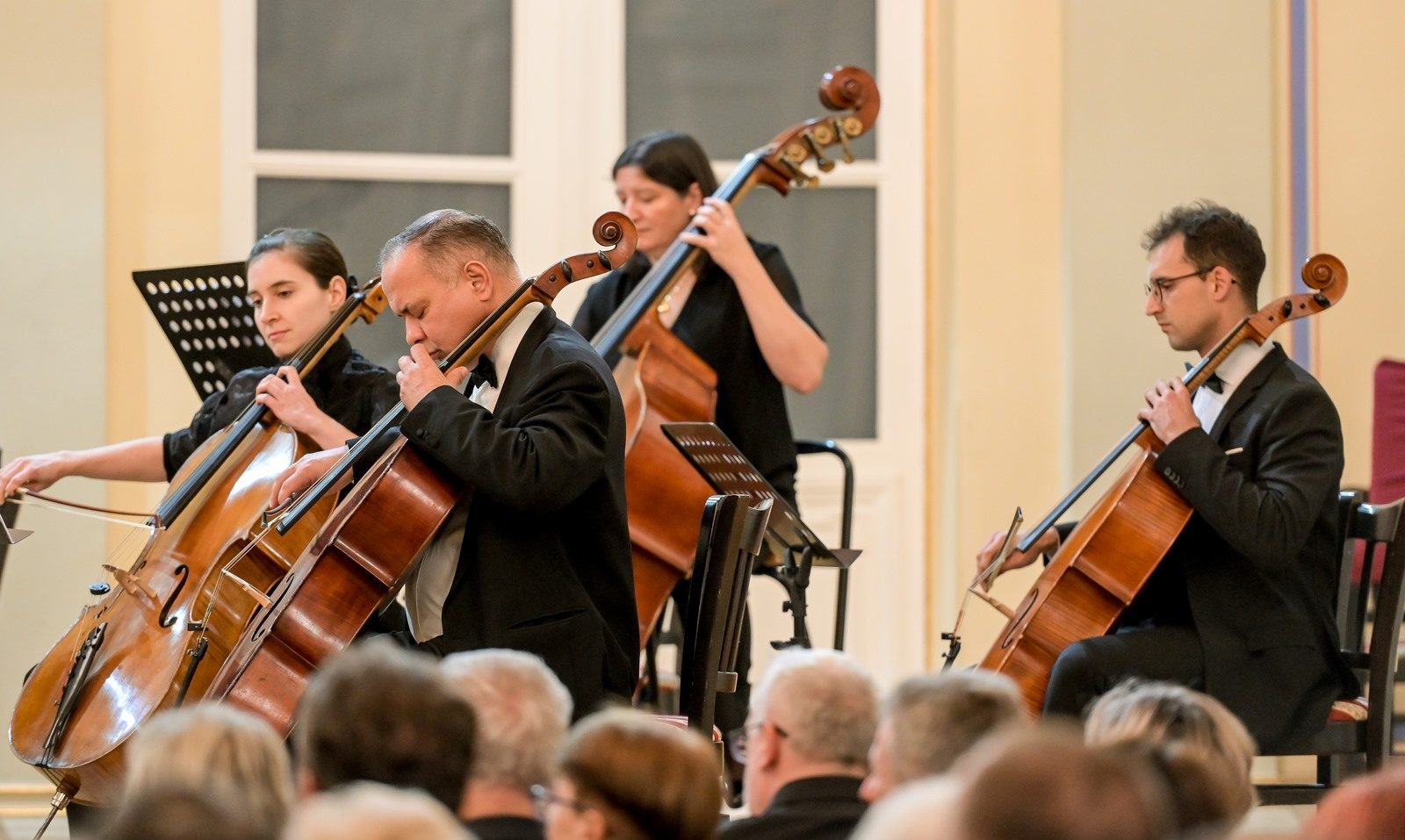 Varaždinski komorni orkestar