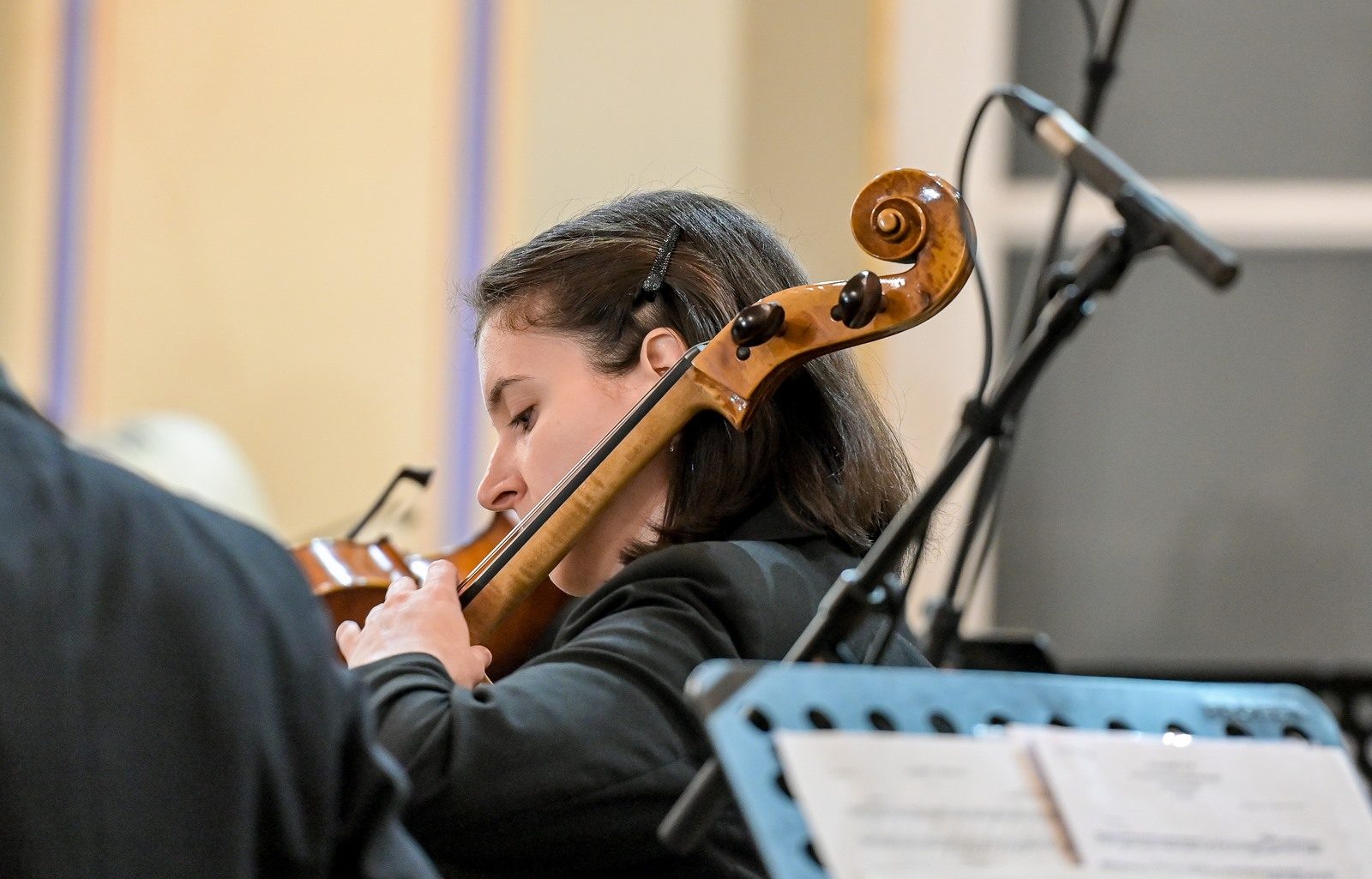 Varaždinski komorni orkestar