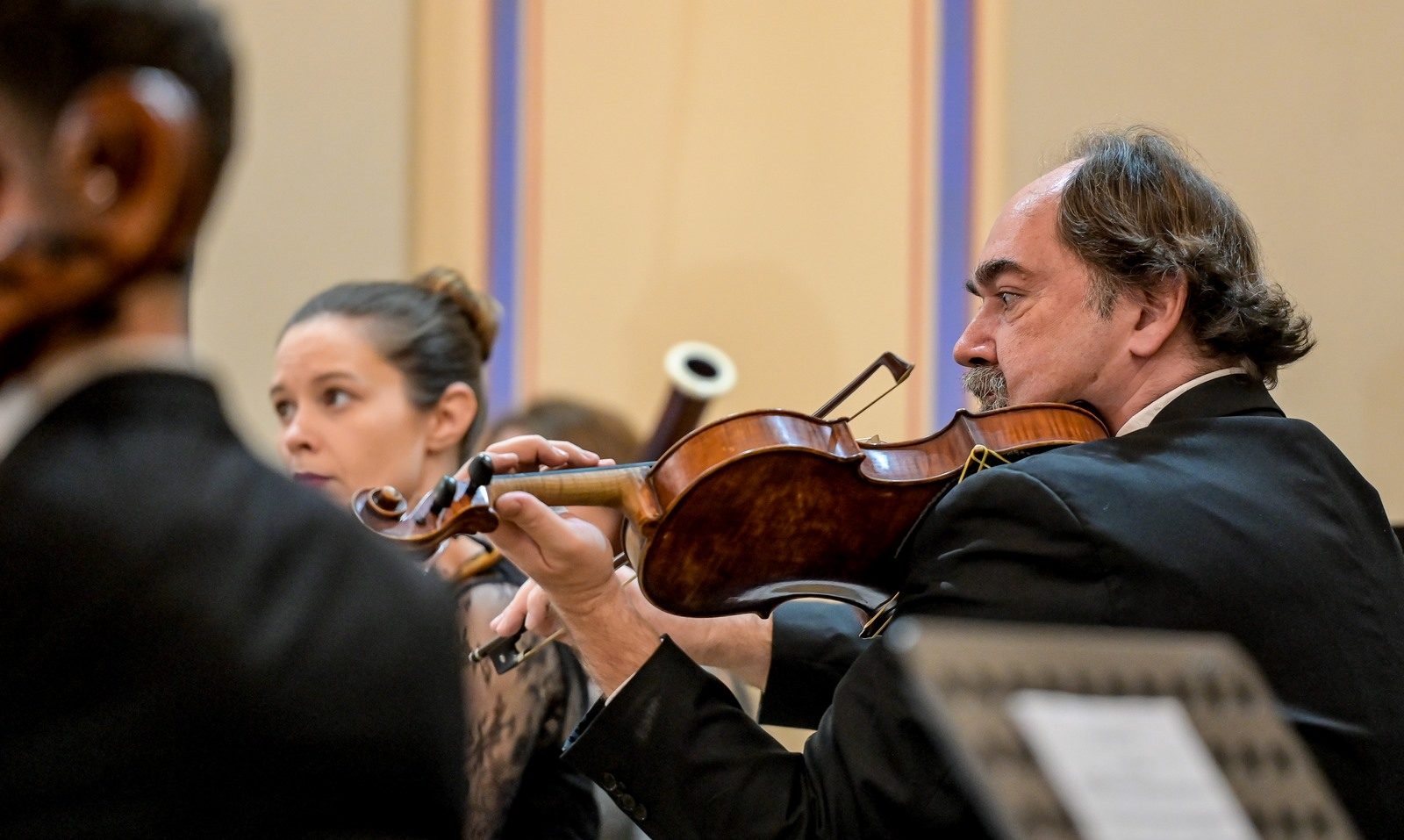 Varaždinski komorni orkestar