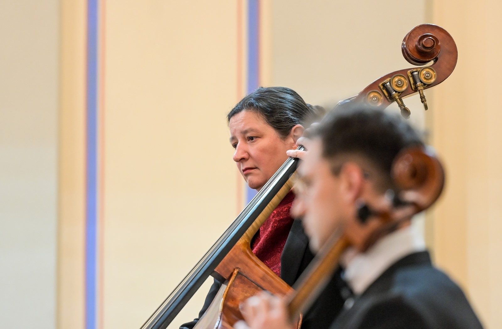 Varaždinski komorni orkestar