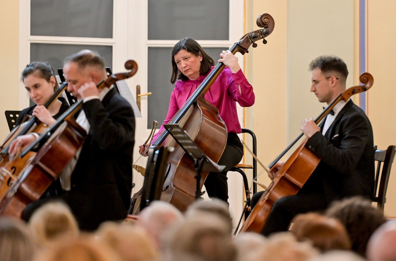 Varaždinski komorni orkestar