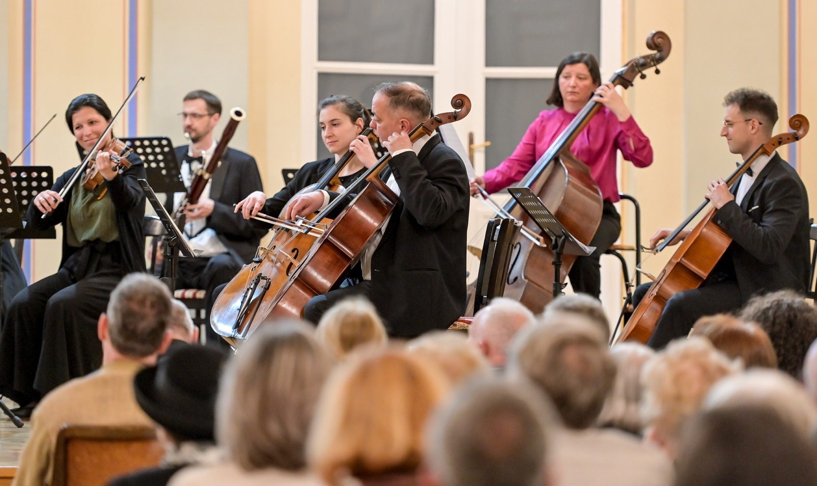 Varaždinski komorni orkestar