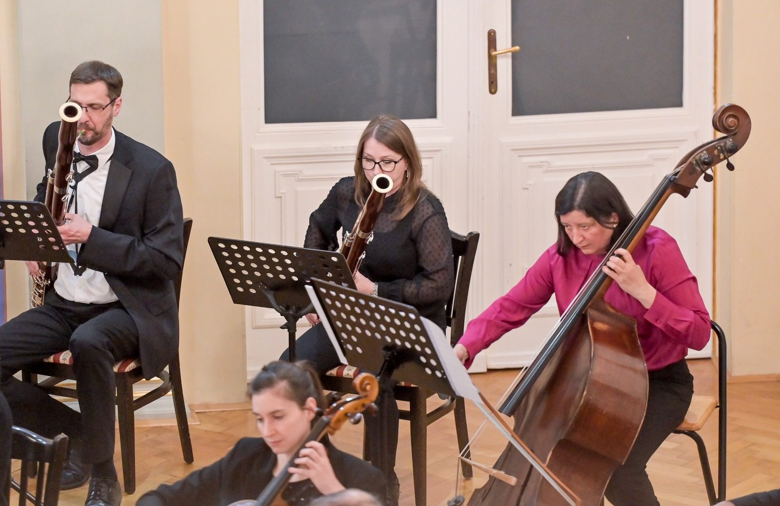 Varaždinski komorni orkestar