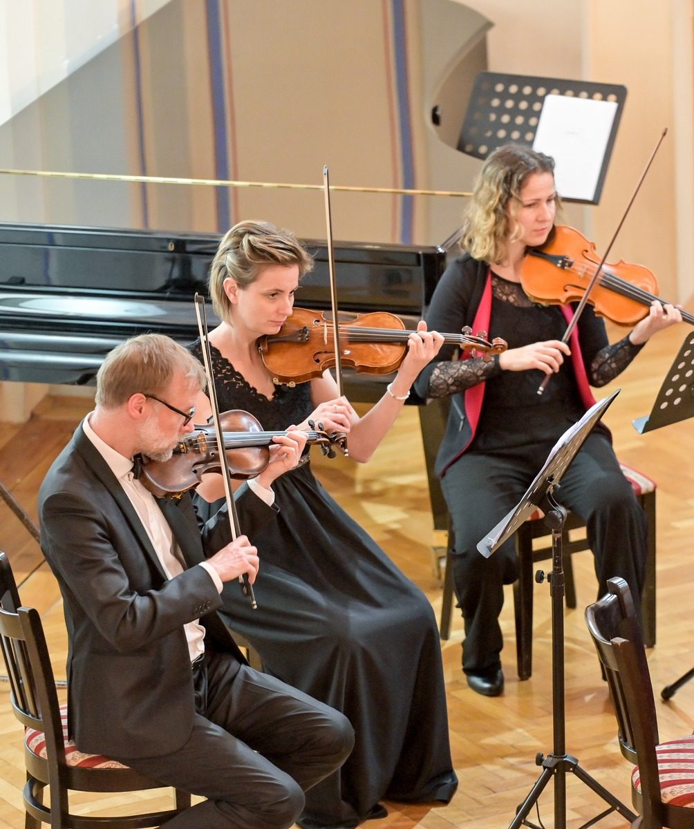 Varaždinski komorni orkestar