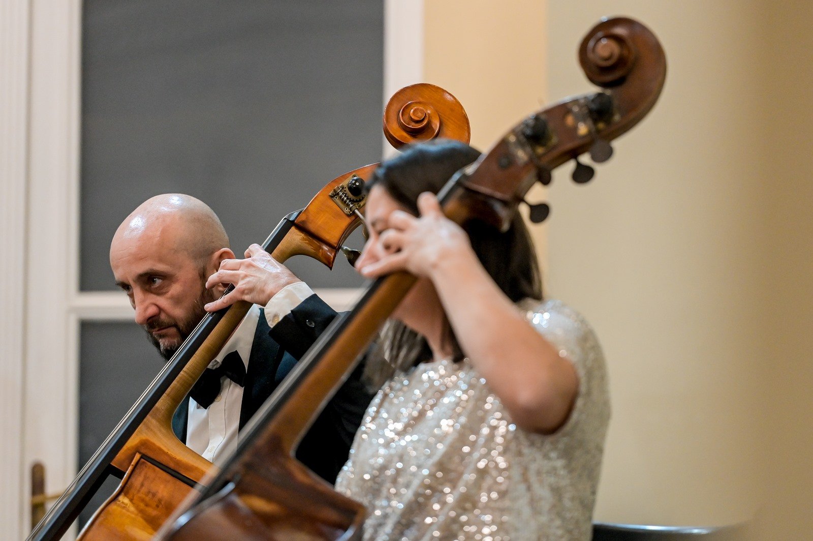 Varaždinski komorni orkestar