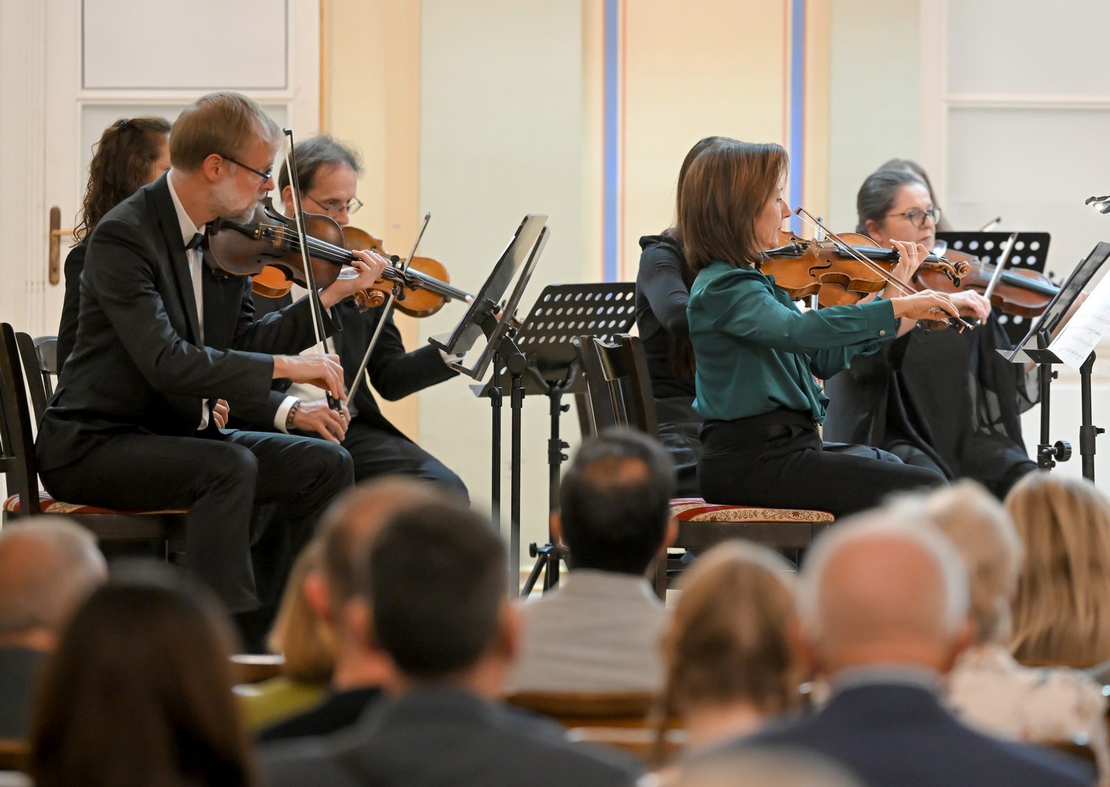 Koncert Varaždinski umjetnici svome gradu, 18. listopada 2026. – gudači orkestra